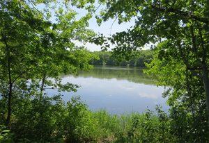 Lebanon Hills Lake in Spring